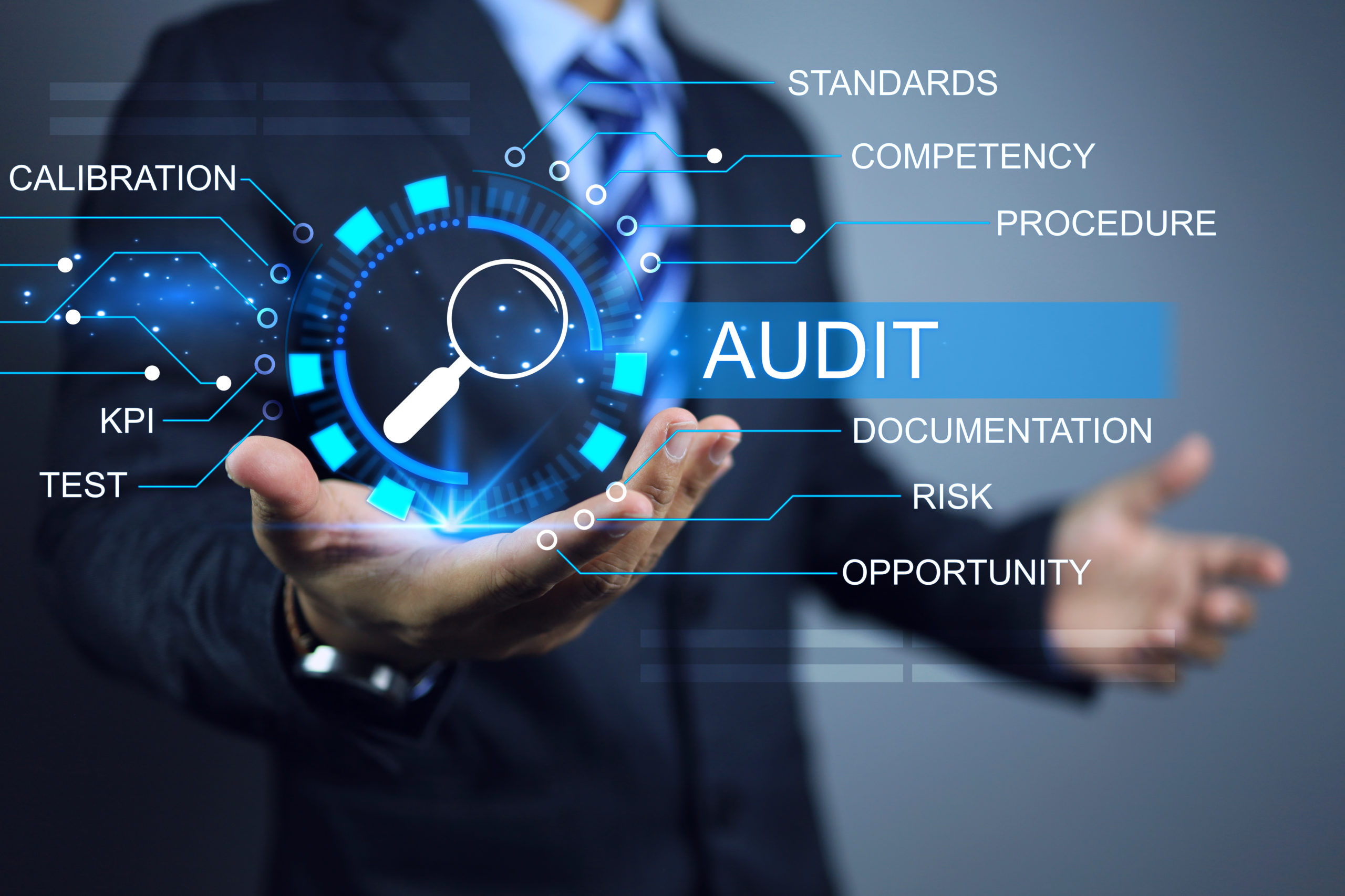 auditor audit factory or annual assessment every year to ensure that activities are conducted in a correct way, not against the law and that there is a plan to meet the quality standards kpi target